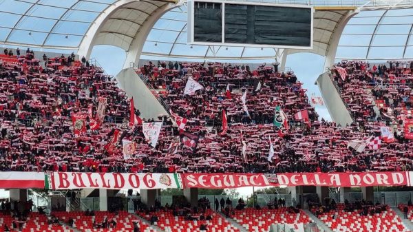 Serie B, Bari - Ternana: statistiche e precedenti