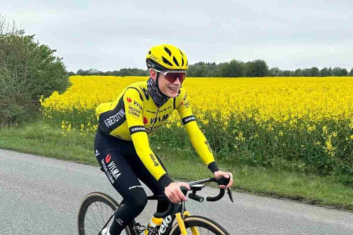 Vingegaard Tour de France