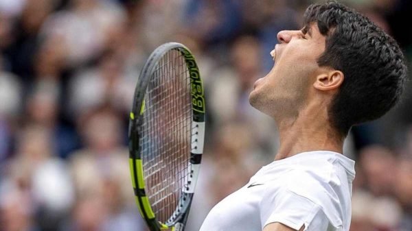 Alcaraz Djokovic Wimbledon