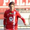 Calciomercato Colpani Fiorentina