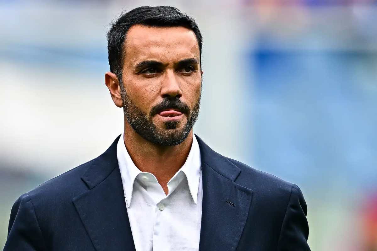 Fiorentina calciomercato Palladino