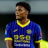 Statistiche e probabili formazioni di Verona-Udinese