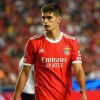 Incontro rinviato tra Benfica e Juventus per Antonio Silva
