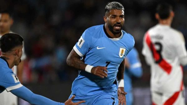 L’elenco delle squadre già qualificate ai mondiali 2026