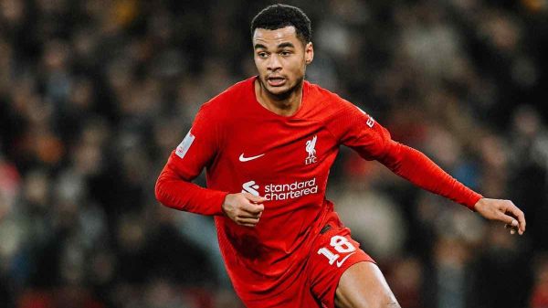 City, si fa sul serio per Gakpo: offerta monstre al Liverpool
