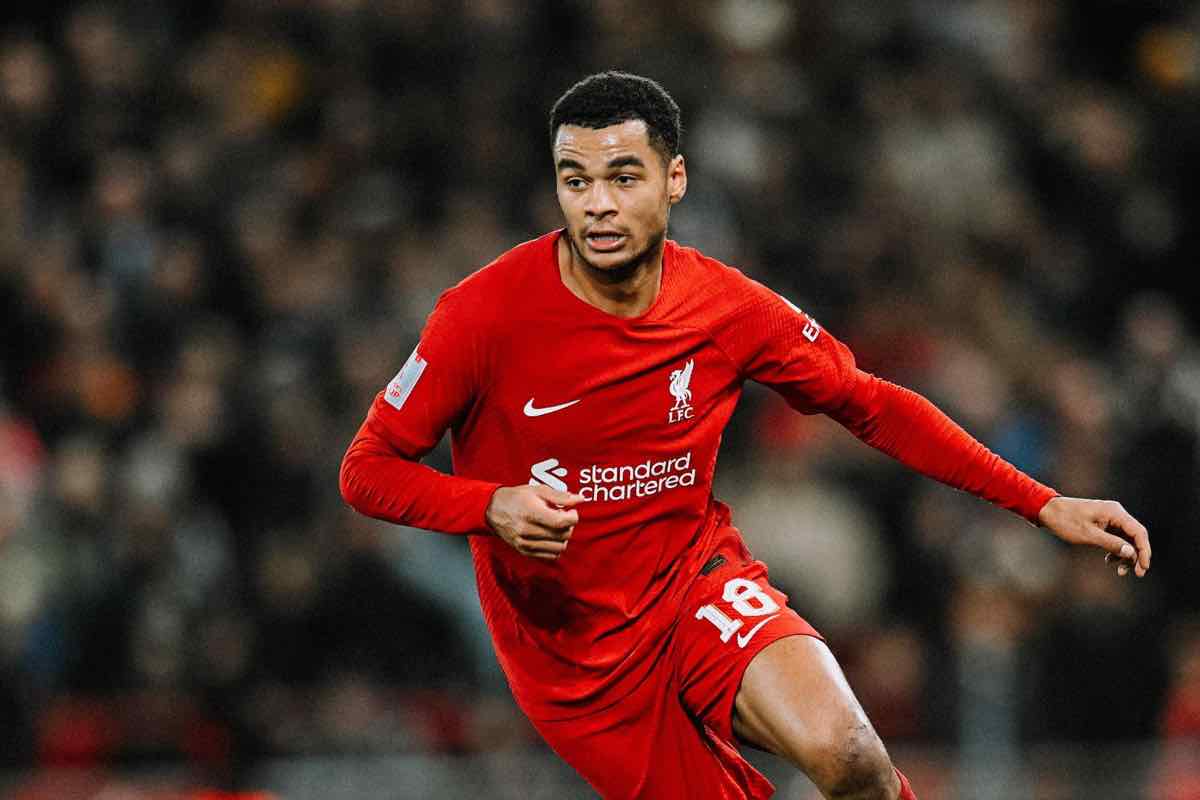 City, si fa sul serio per Gakpo: offerta monstre al Liverpool